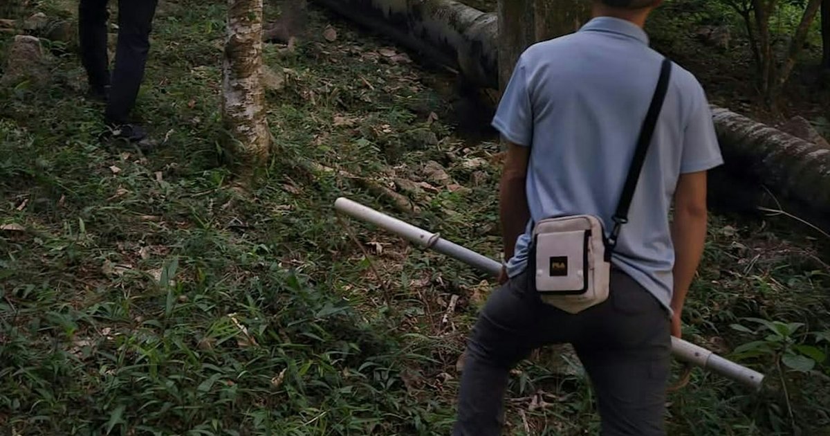 AFCD Launches Four-Month Operation to Catch Stray Dogs Amid Public Safety Concerns