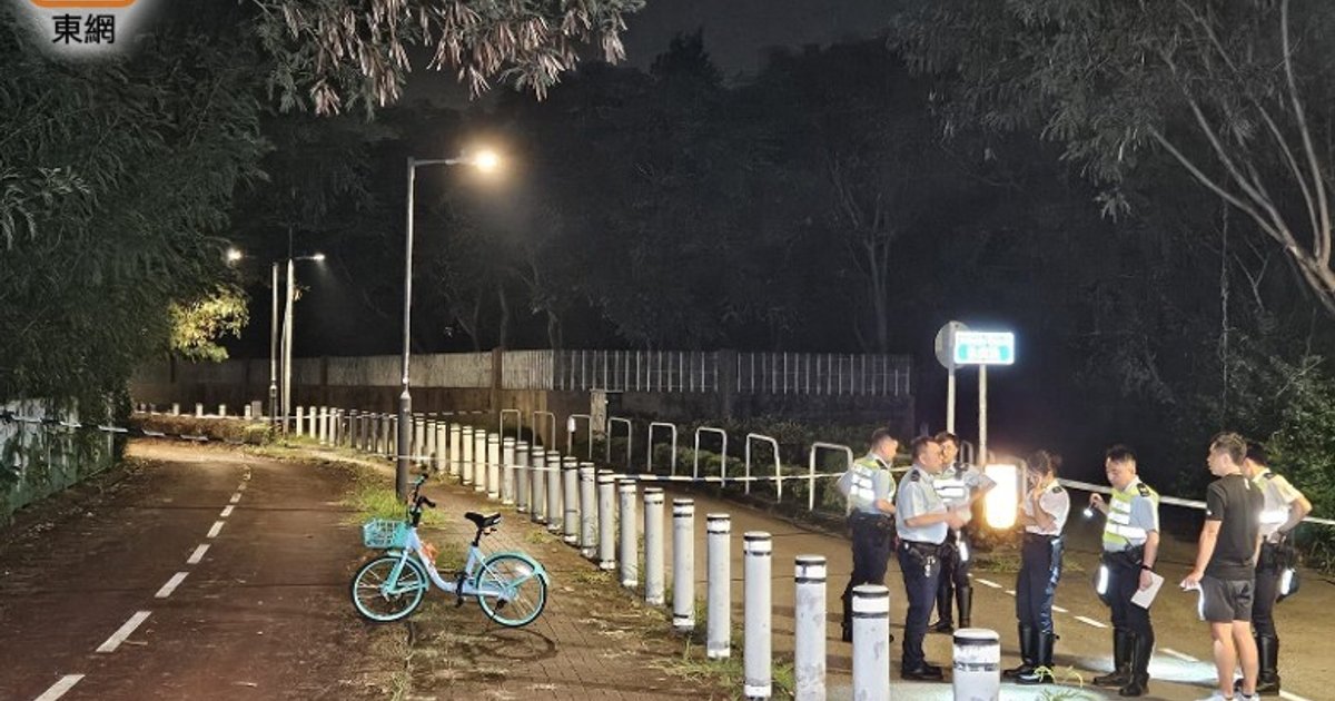 元朗狗咬死人後 警方加裝四組臨時閉路電視追蹤流浪狗蹤跡