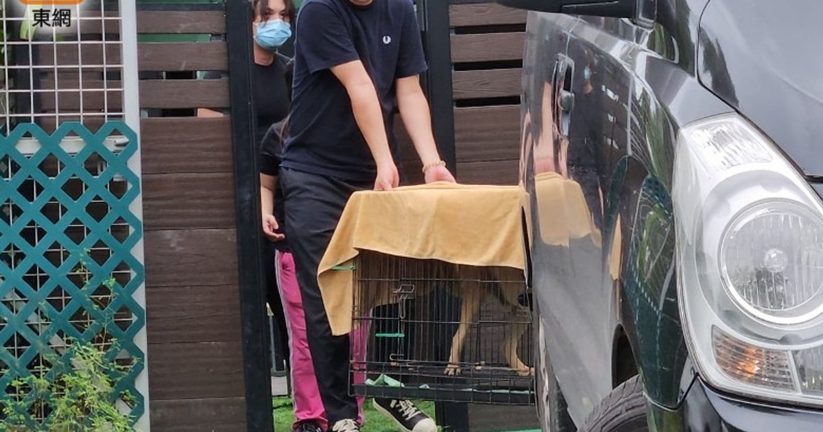 Woman Dies in Dog Attack at Licensed Pet Boarding Facility in Hong Kong