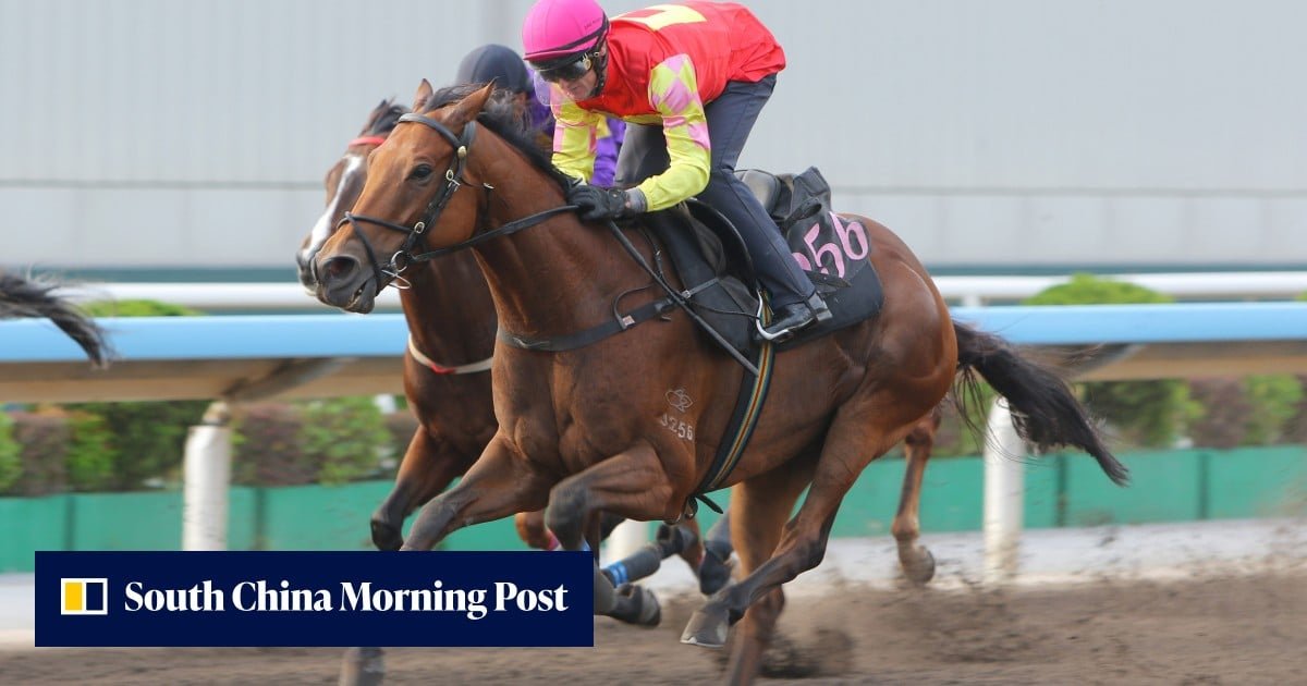 Purton Aims to Establish My Wish as Hong Kong's Premier Miler in Sha Tin Trophy