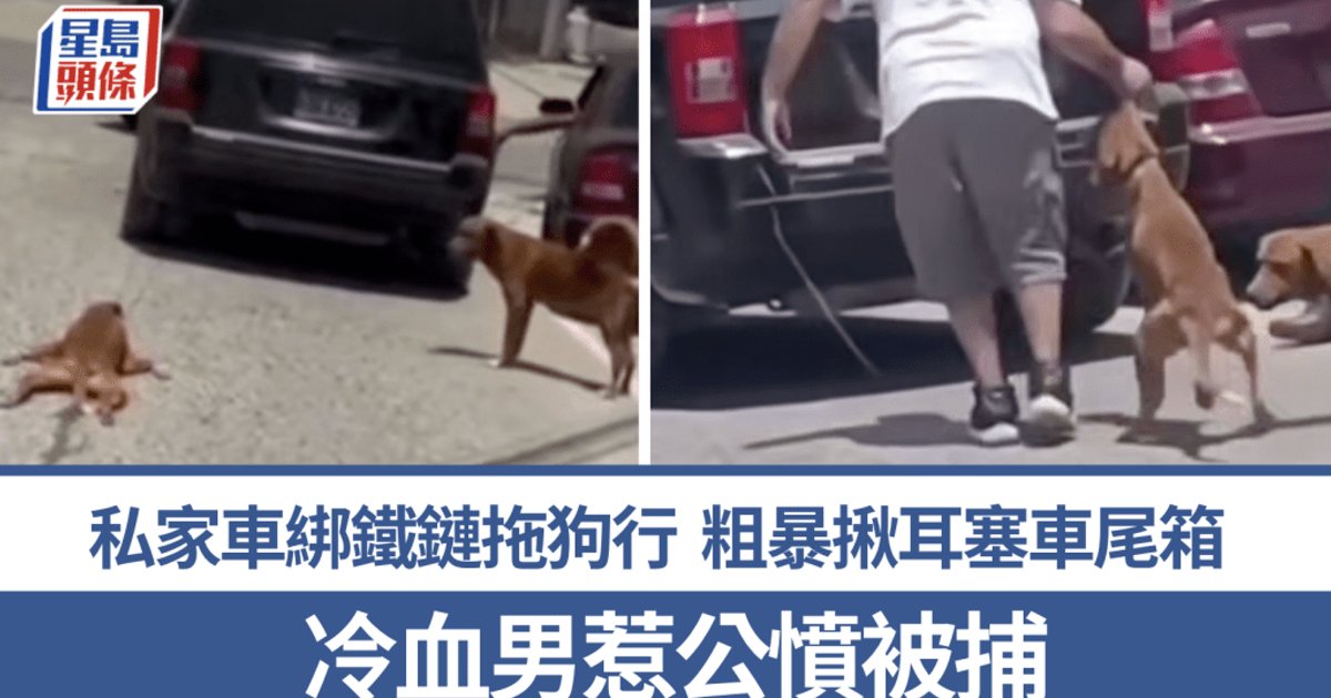 洪都拉斯男子绑链拖狗上路 引众怒后被罚款
