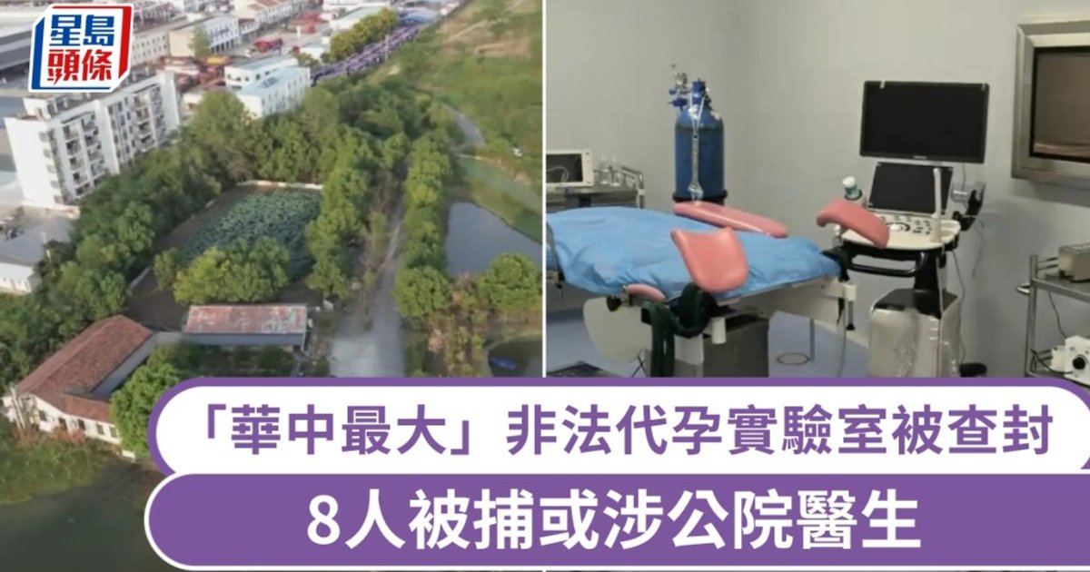 武汉查封非法代孕实验室 8人被控制涉省级医院医生