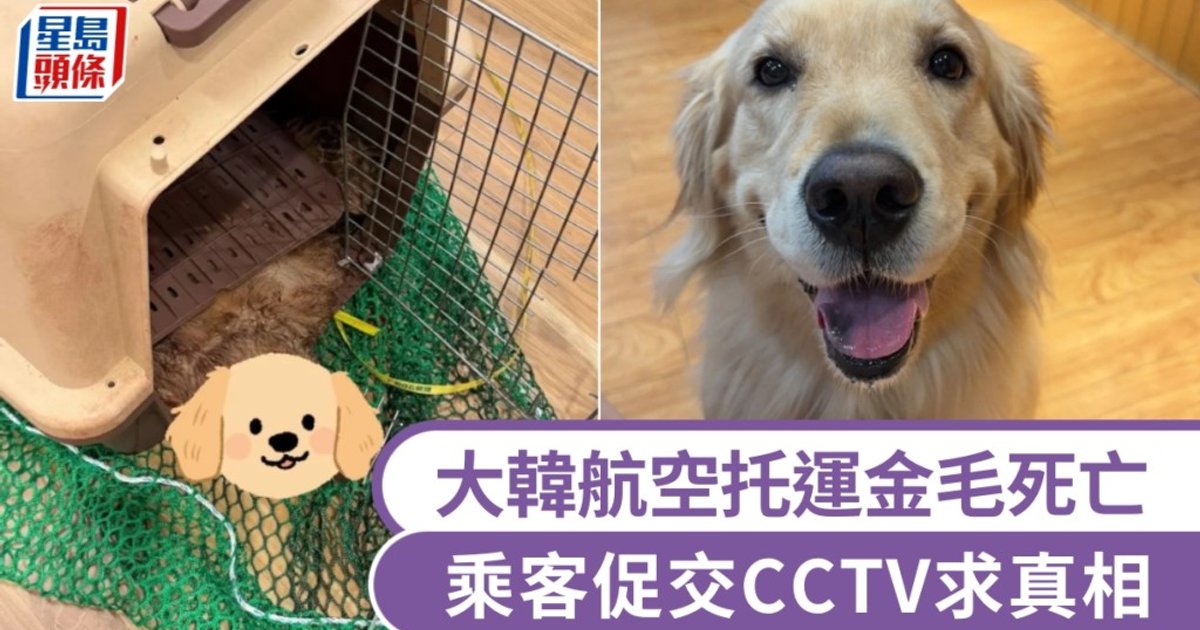 Korean Air Pet Death on Guangzhou-Incheon Flight Sparks Demand for CCTV Footage