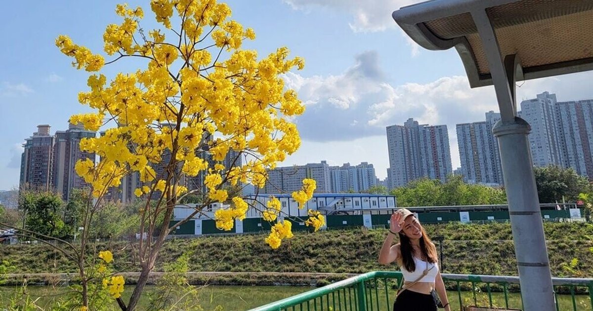 天文台发特别天气提示 珠江口一带骤雨持续未来一两小时部分地区雨势较大