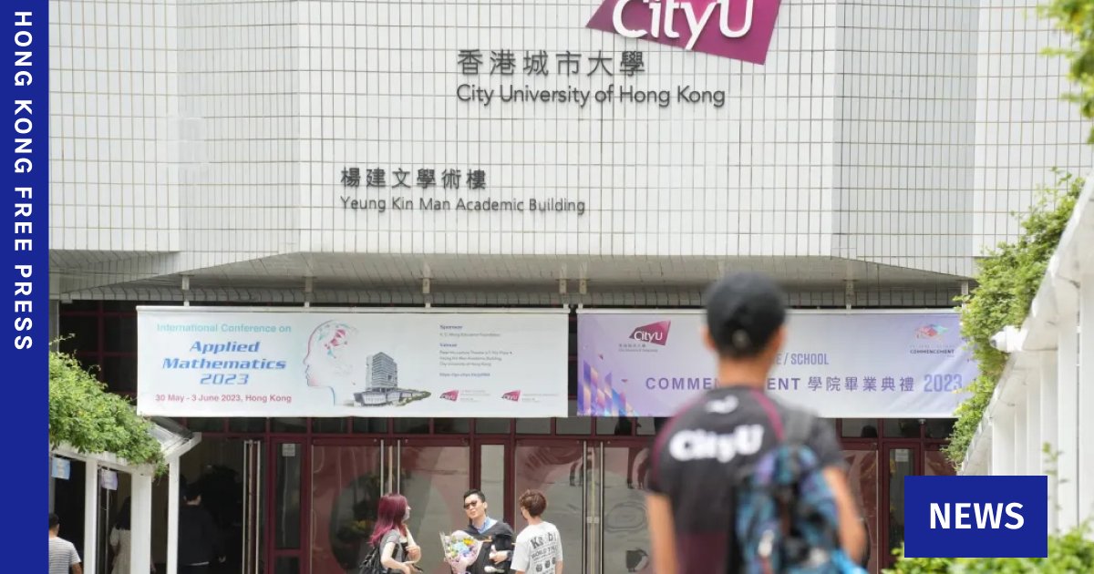 Lawmaker urges task force on Hong Kong births