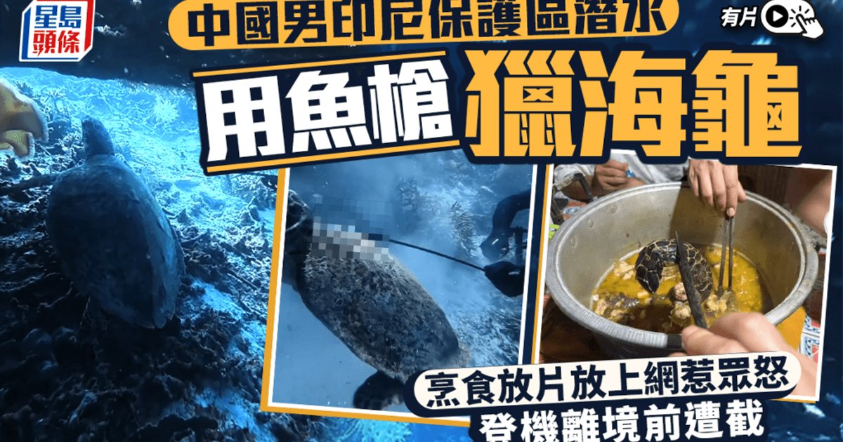 涉在印尼猎杀玳瑁 中国男子被起诉