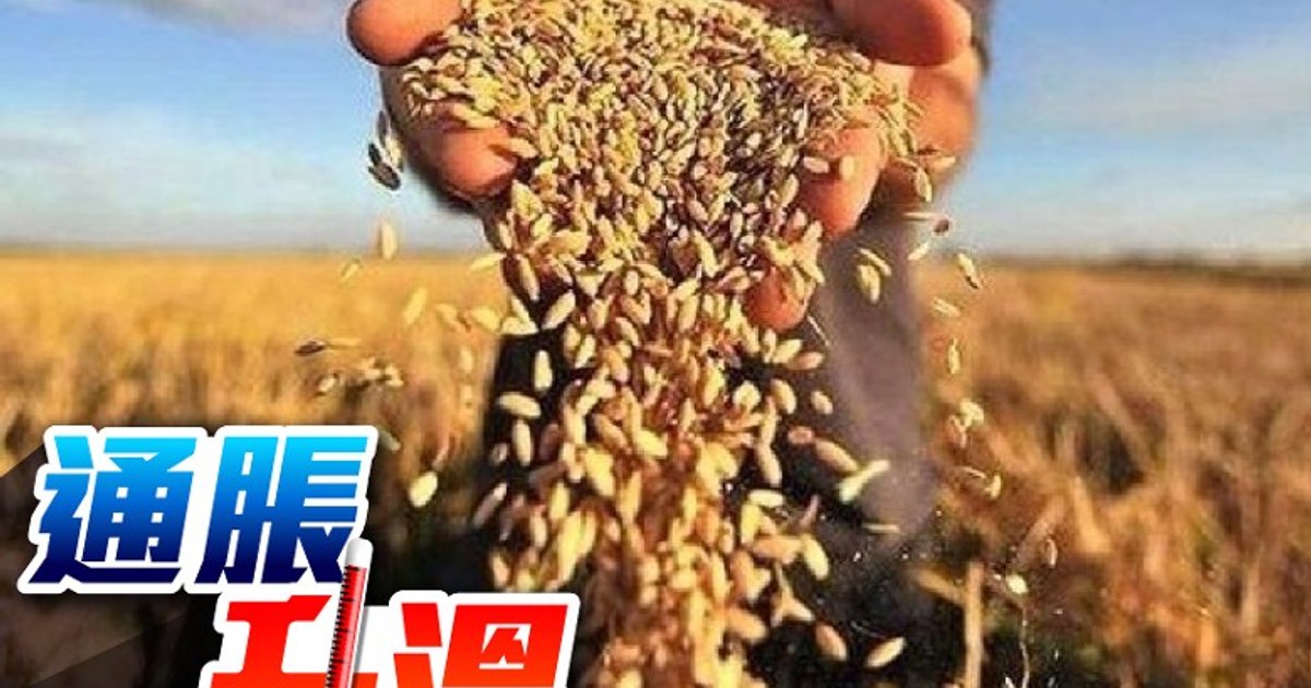 分析师警告：粮价或成下一个被忽略的通胀源头