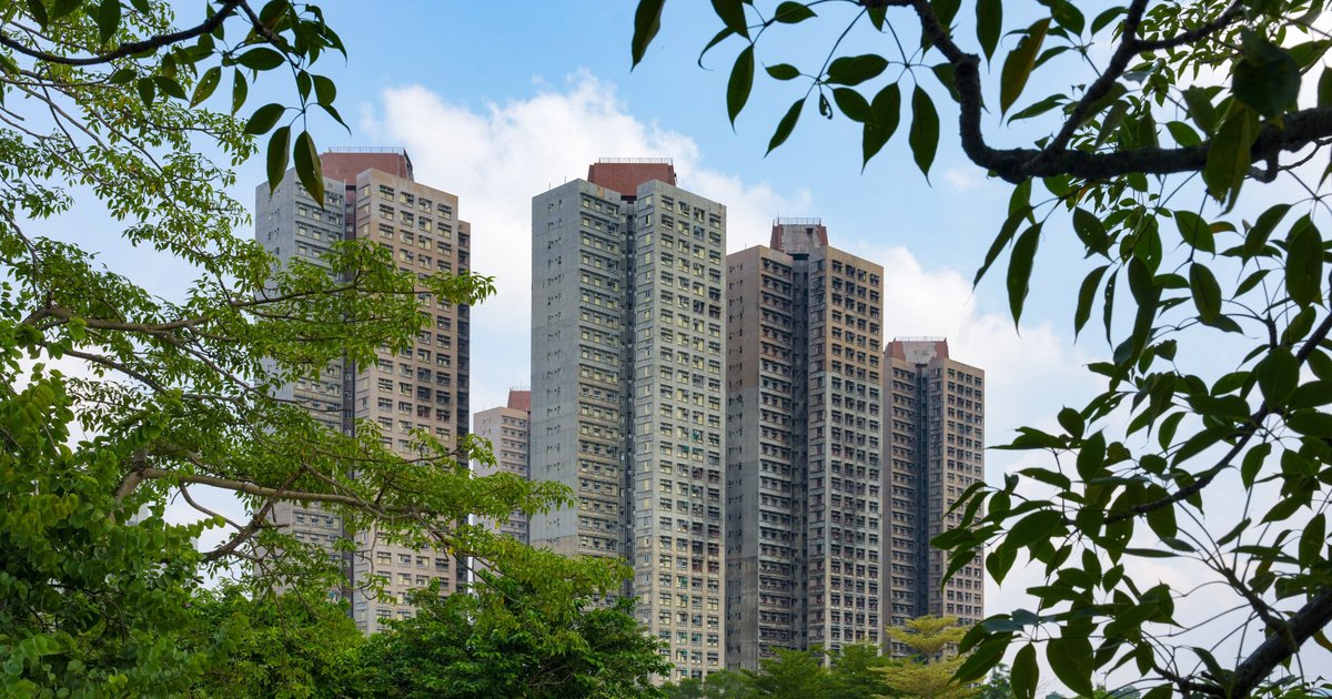 Tai Po fire report filed, reforms and accountability loom