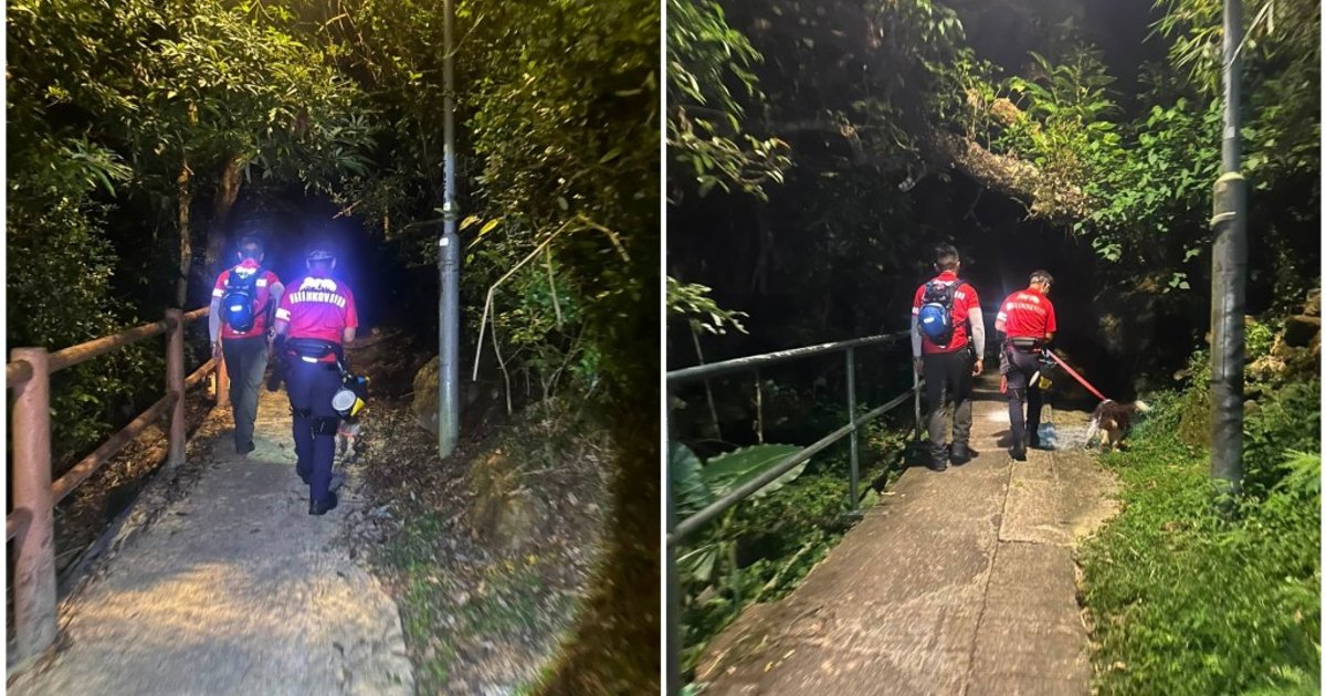 將軍澳失蹤男陳屍馬鞍山女婆山 患腦退化症離家半月終尋獲