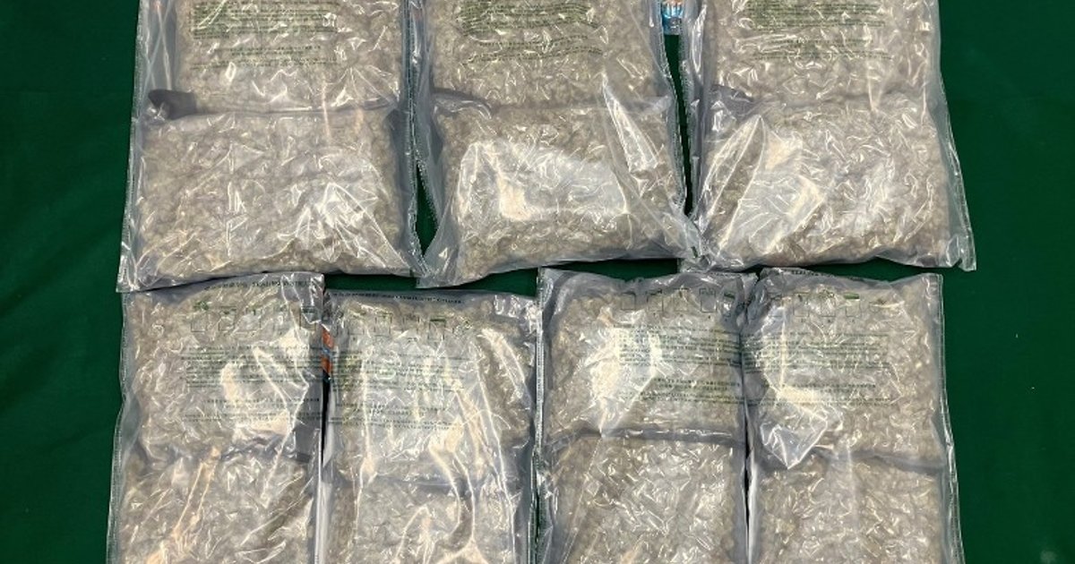 Mainland traveller arrested at Hong Kong airport drug bust