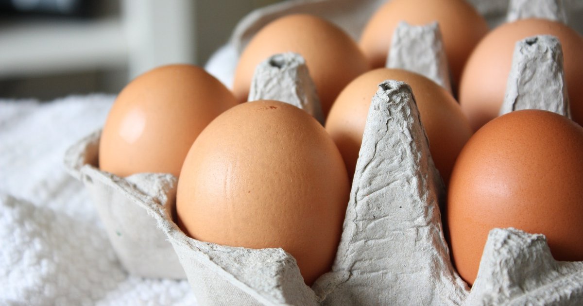 Vietnamese Eggs Recalled Over Fipronil Excess; All Vietnam Imports Now Held for Testing