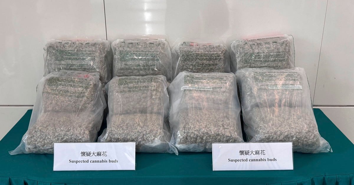 三名內地男涉機場運530萬元大麻花被捕