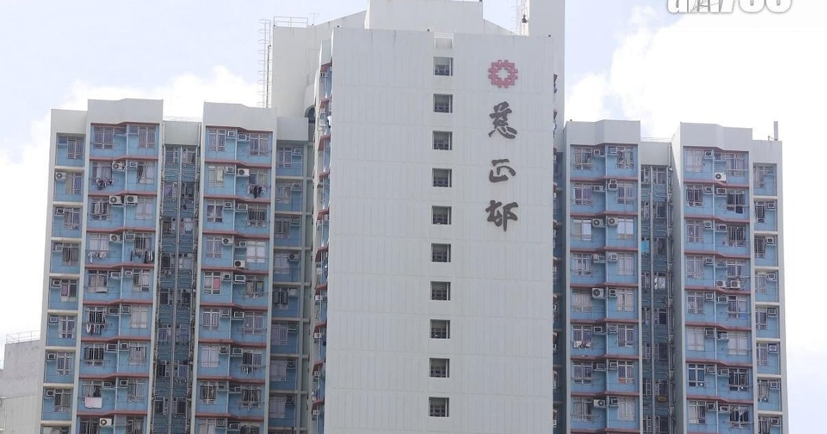 二十四小時內兩宗懷疑虐畜案　流浪狗被困垃圾站　女子涉虐待被捕