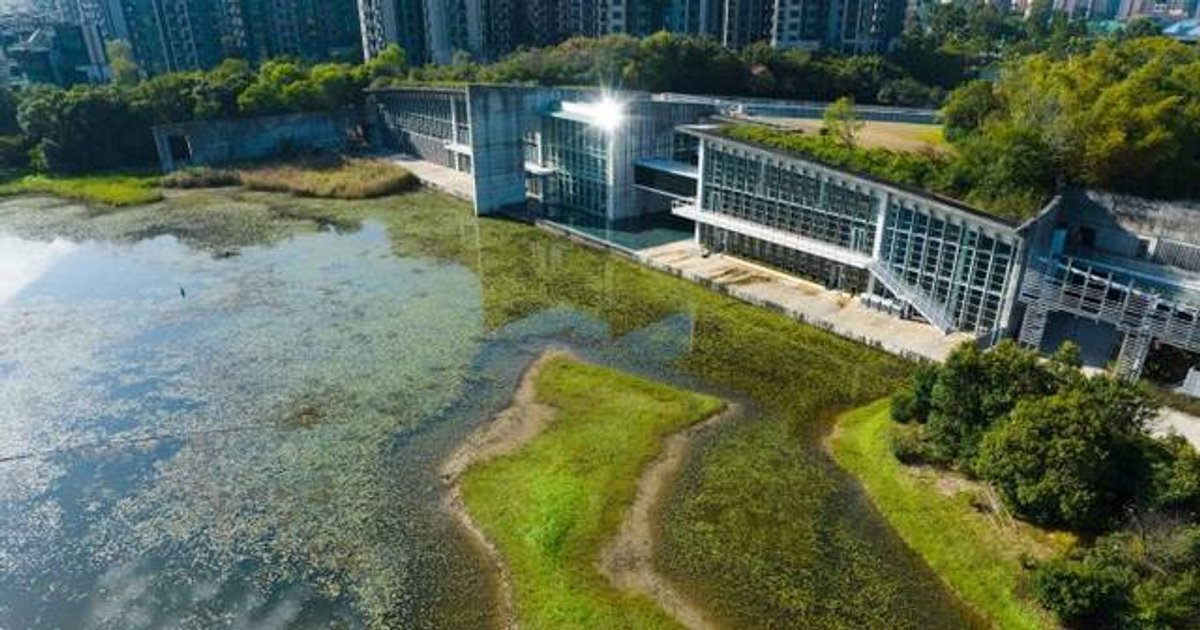 8.15全國生態日來臨 特區政府推出多項活動優惠 濕地公園免費開放