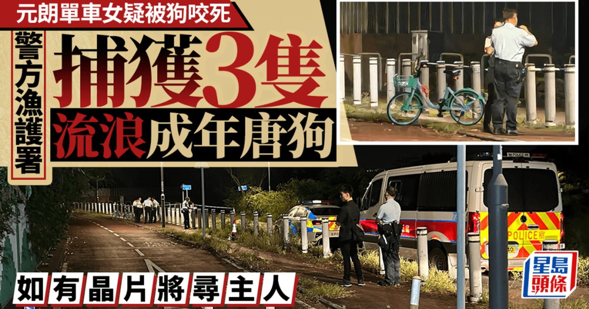 元朗狗咬死人　當局捕獲三唐狗化驗　謝展寰：流浪狗管理可做得更好