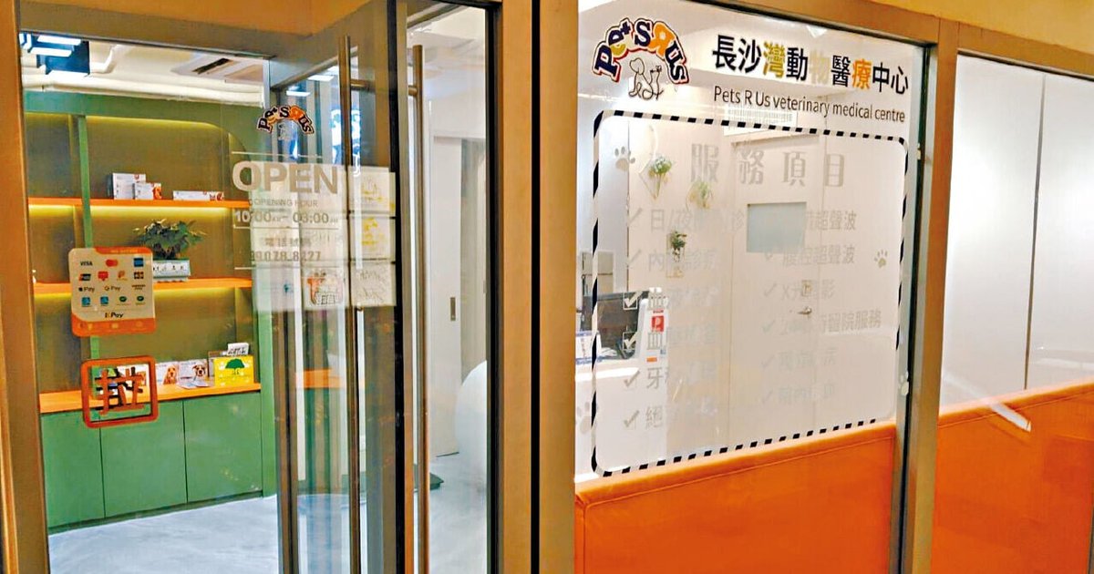 14歲男生涉虐貓被捕 暫託幼貓送院後不治