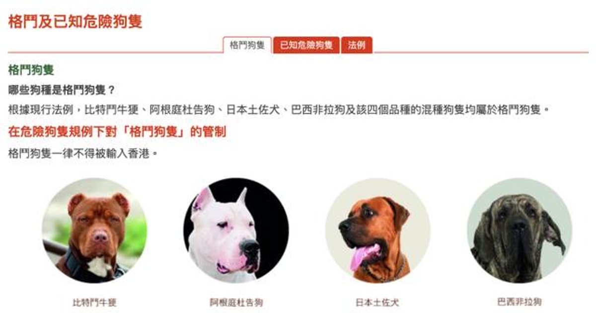 政府檢討「格鬥狗隻」定義名單 議員促查有否格鬥狗涉混種或走私