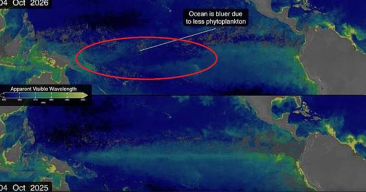 NASA：超級厄爾尼諾令太平洋變藍 海洋生態恐受壓