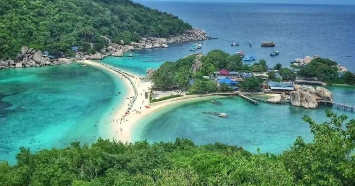 浙江医院辟谣：两员工游泰并非遭摘器官