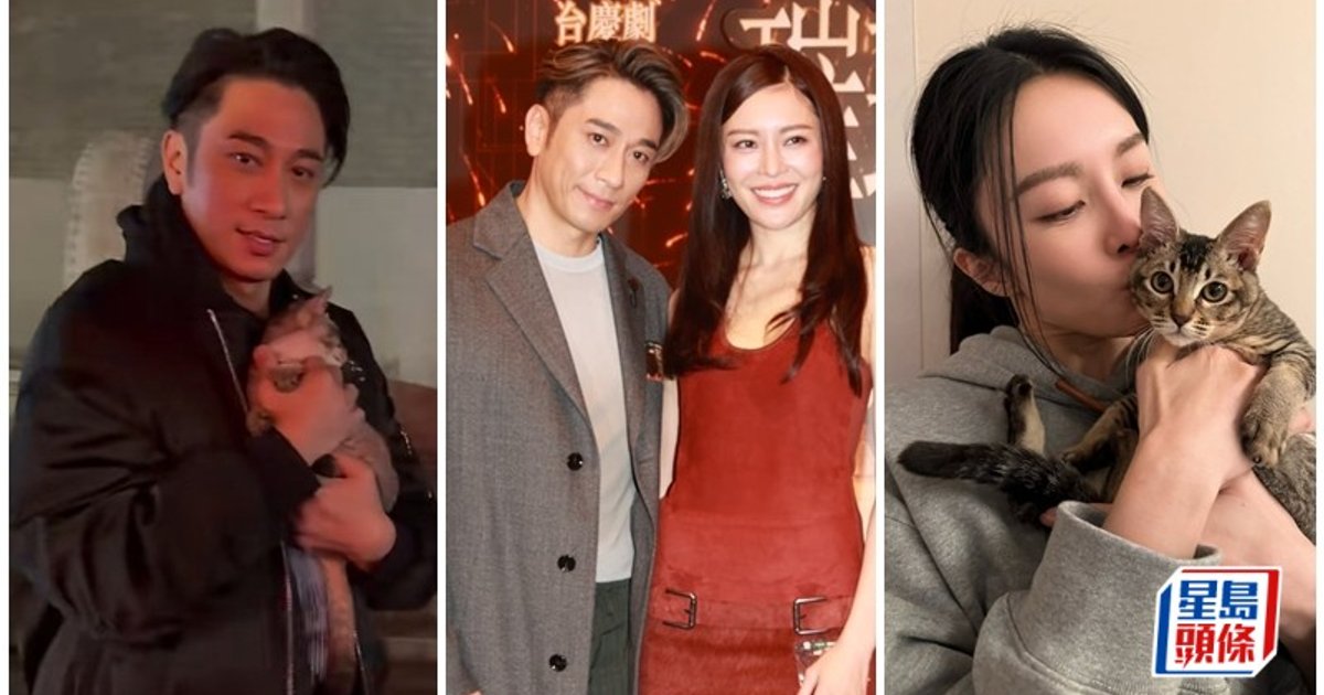 吴卓羲张曦雯宣传《璀璨之城》被传戏假情真 二人互赞对方笑不停
