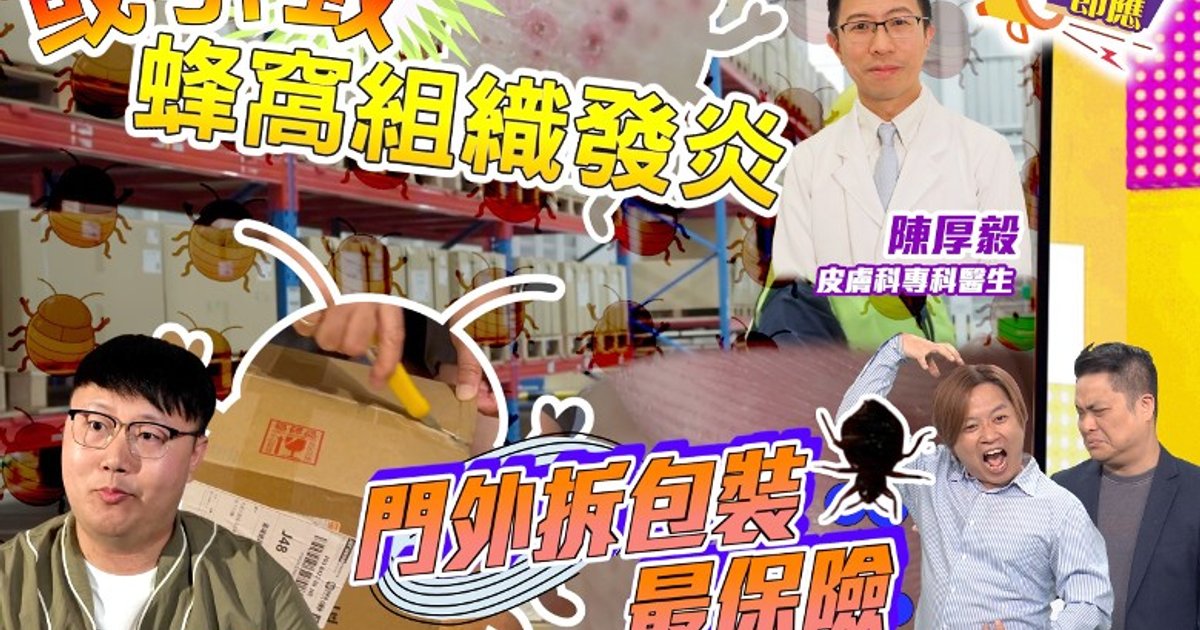 网购易招吸血床虱入屋 专家指烟雾弹适得其反