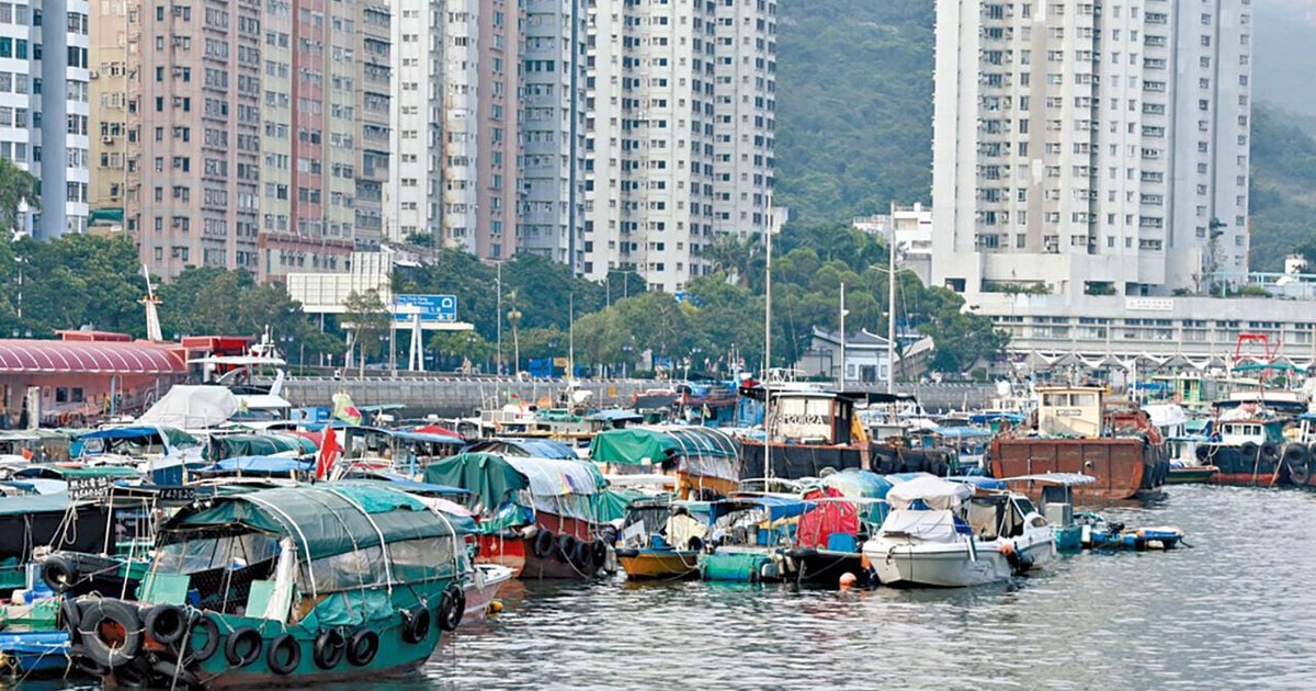 食游记|遍寻香港仔鱼蛋粉