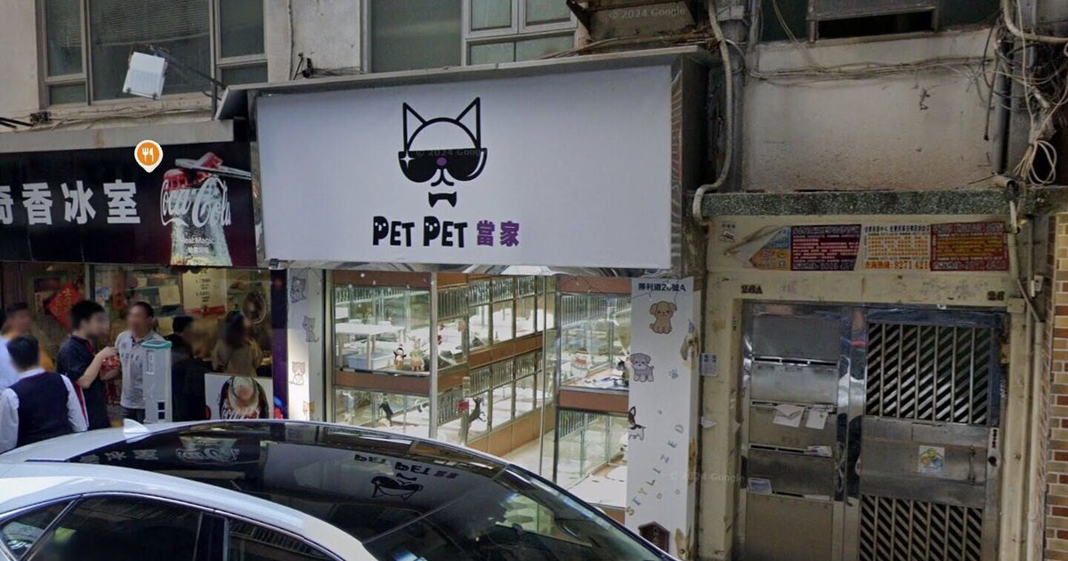 何文田宠物店比熊犬被抱走 警方追查中年女子