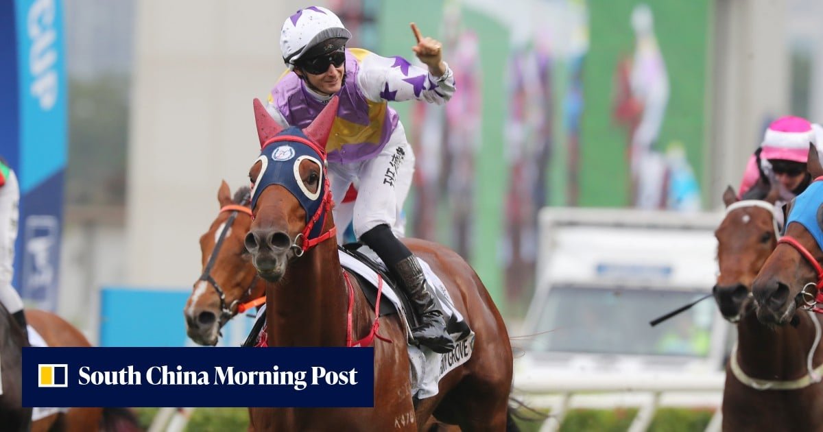 练马师罗富全部署星级三驹出战周日沙田赛事