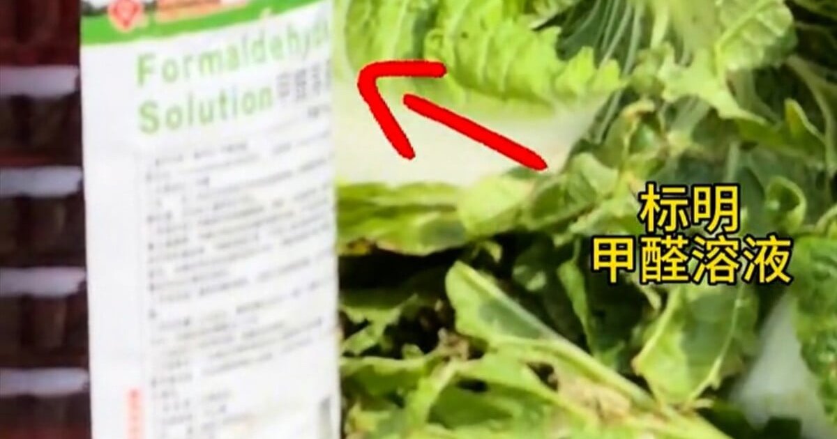 河北康保縣證實白菜裝車前蘸甲醛保鮮