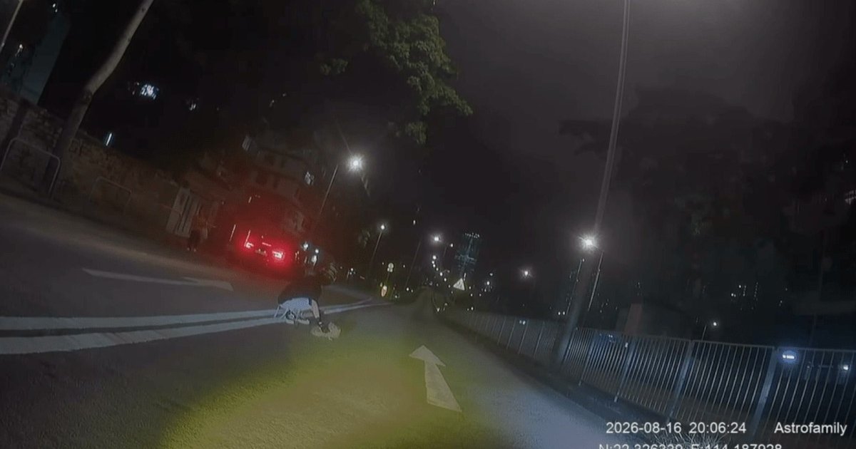 電單車司機、九龍城繁忙路面救出走入行車線狗狗 主人無綁狗繩惹批評