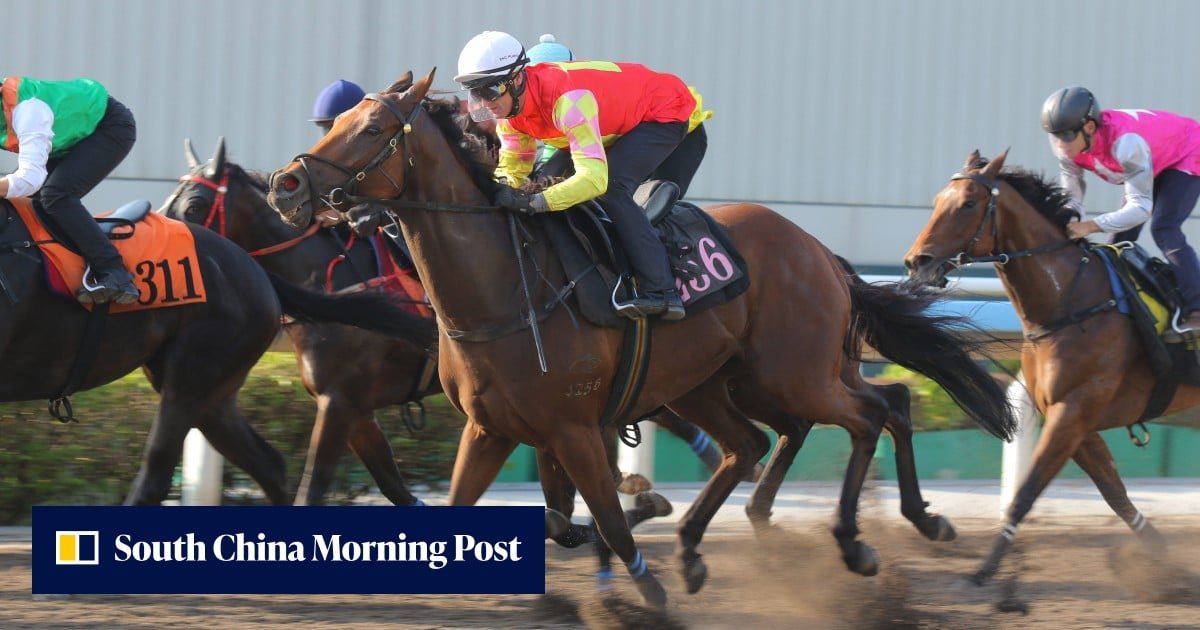 香港一哩賽事版塊重整 騎師莫雷拉座騎易主