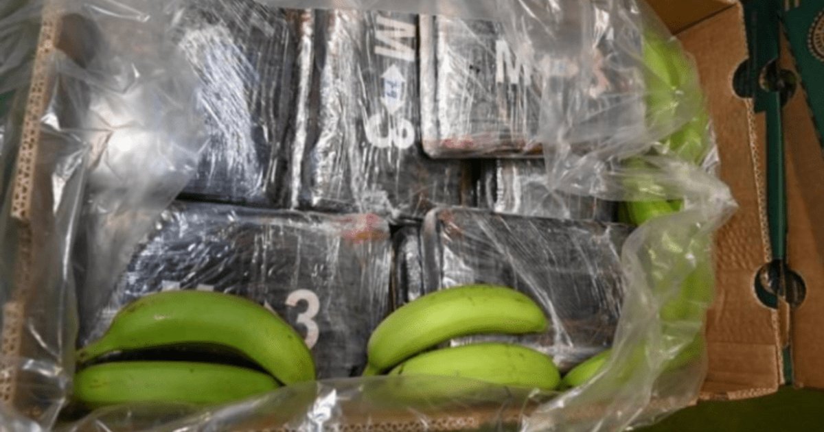 UK Seizes 2.9 Tonnes of Cocaine in Banana Shipment