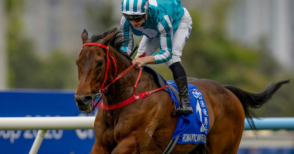Hong Kong Champion Racehorse Romantic Warrior Retires After Leg Injury