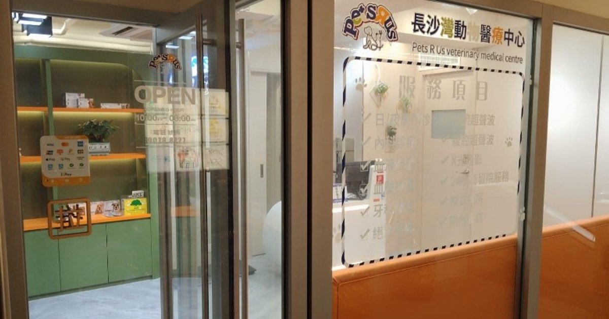 女同学托付起司猫死亡 14岁男生涉虐畜被捕