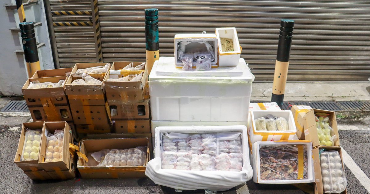 香港海关查获118公斤走私害虫及宠物食品
