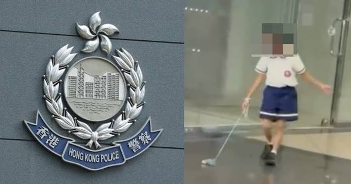 Police probe Tuen Mun bird abuse video involving boy