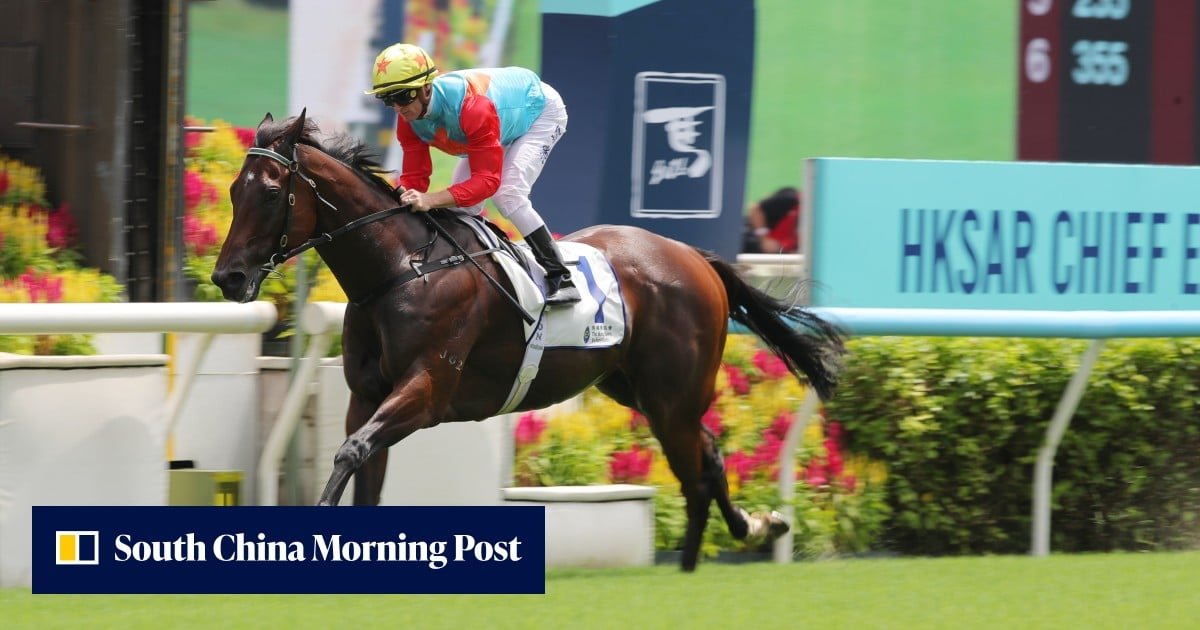 星級賽駒「浪漫鬥士」破紀錄揚威香港馬季揭幕戰