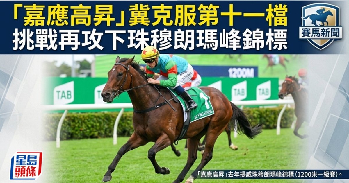 Rising Star of Jiaying Aims to Conquer Barrier 11 in Everest Defence