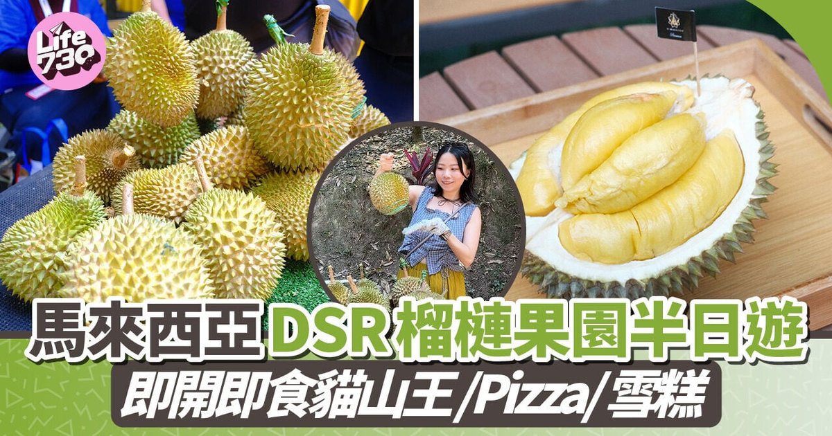 Malaysia Durian Tourism Booms at 'Durian Brother' Orchard