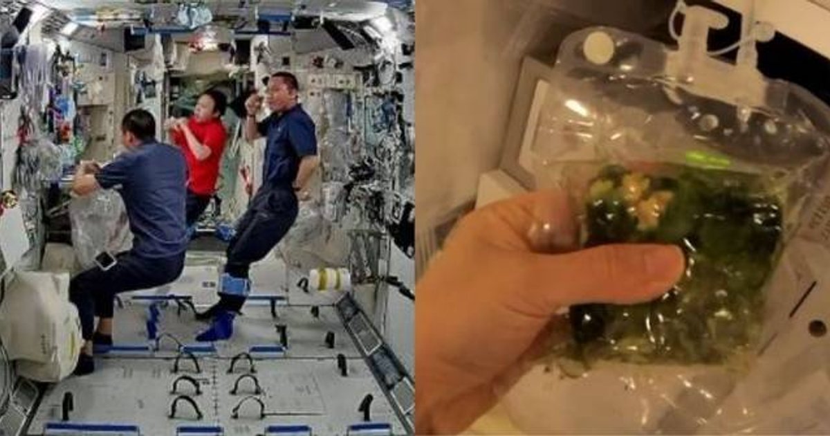 神舟二十三乘組「太空出差」將滿三個月 黎家盈忙裏偷閒歎美食充電