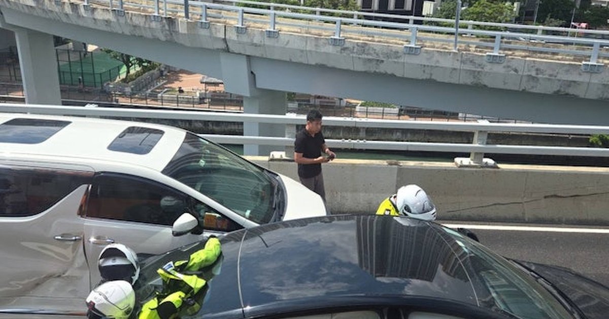 Tesla東廊失控撞車 司機不治身亡