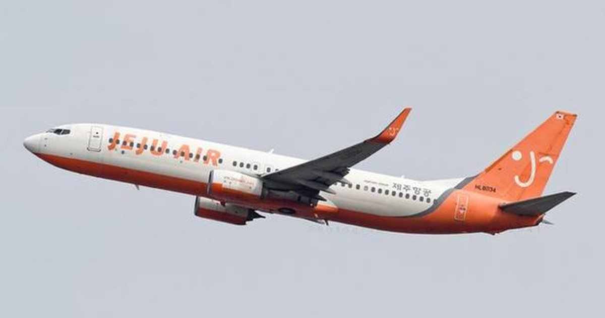 济州航空乘客预约资料外泄 约百人姓名及护照号码现于Naver搜索结果