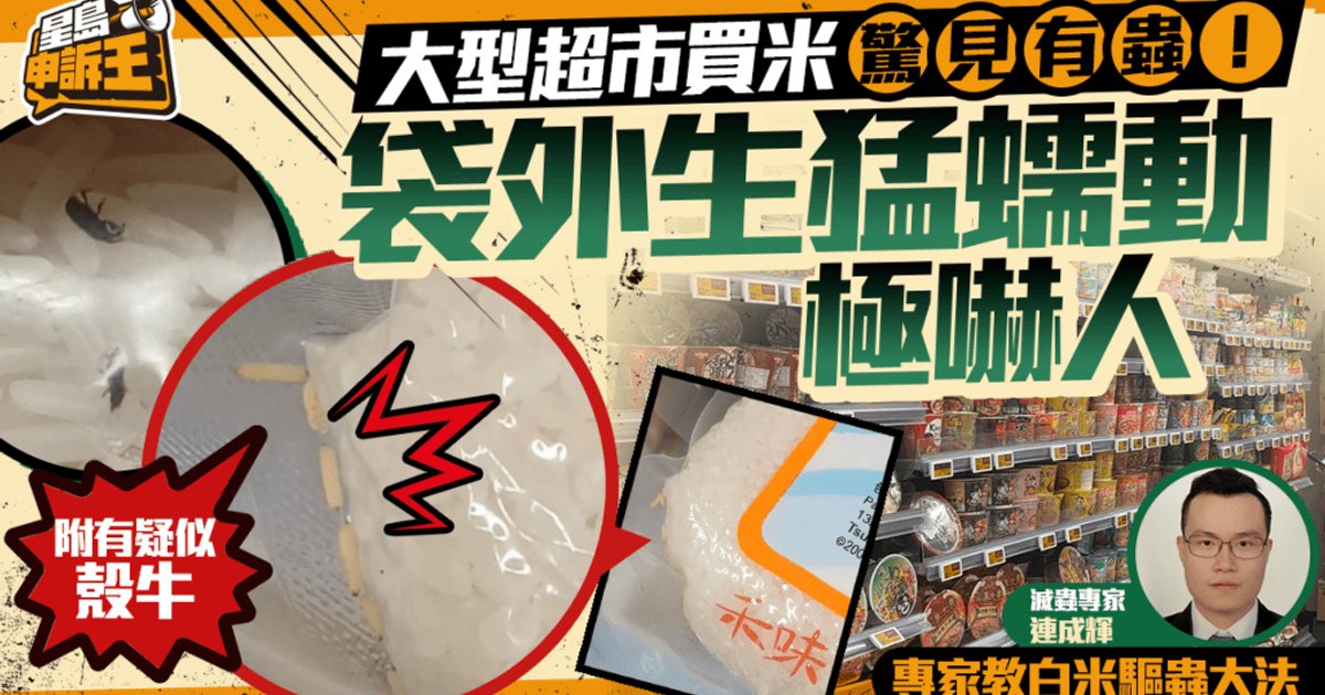 大型超市白米驚現米蟲蠕動 滅蟲專家教路三招防蟲大法