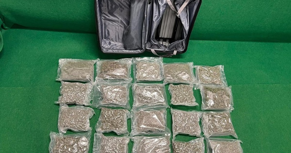 两名内地男子涉携110万港元大麻花抵港被控