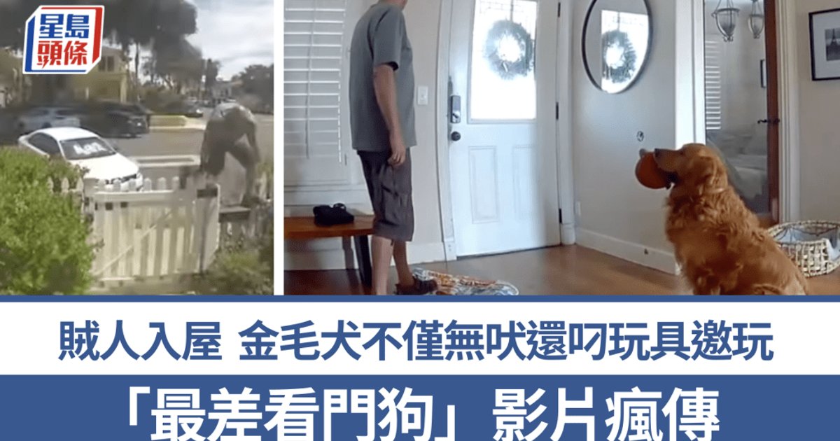 Golden Retriever Offers Toys to Intruder, Dubbed 'Worst Guard Dog' (Video)