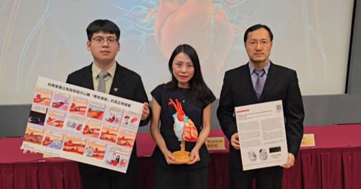 CUHK Discovers Heart Capillaries Transform Into Bypass Arteries