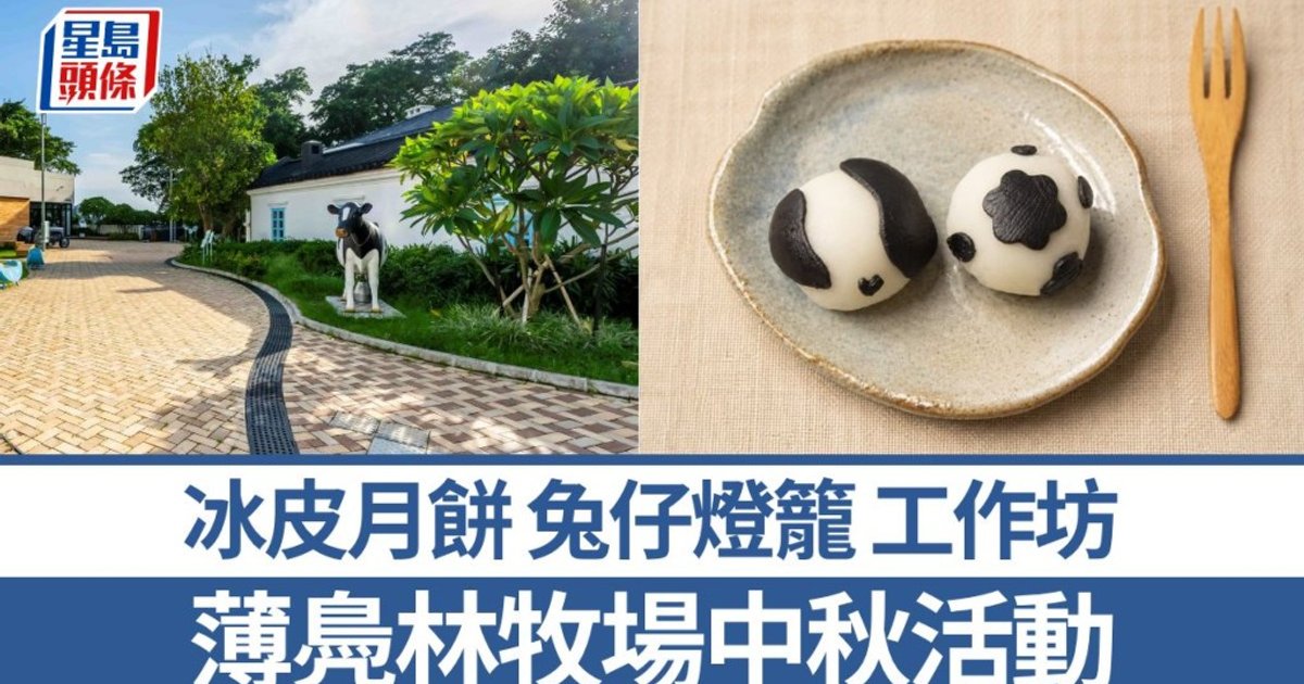 薄鳧林牧场中秋限定体验｜冰皮月饼、传统兔仔灯笼、竹扎工作坊感受佳节气氛