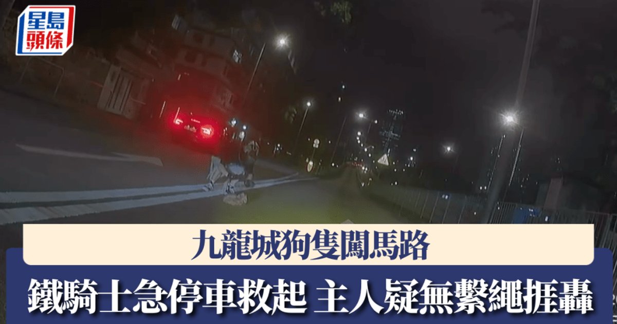 九龍城狗隻闖馬路 鐵騎士急停車救起 主人無繫繩捱轟