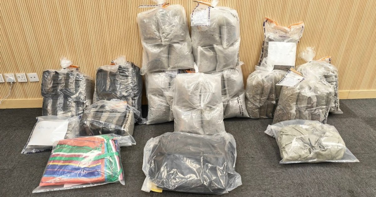 天水围检获1230万元大麻花 两名蔡姓男子被捕