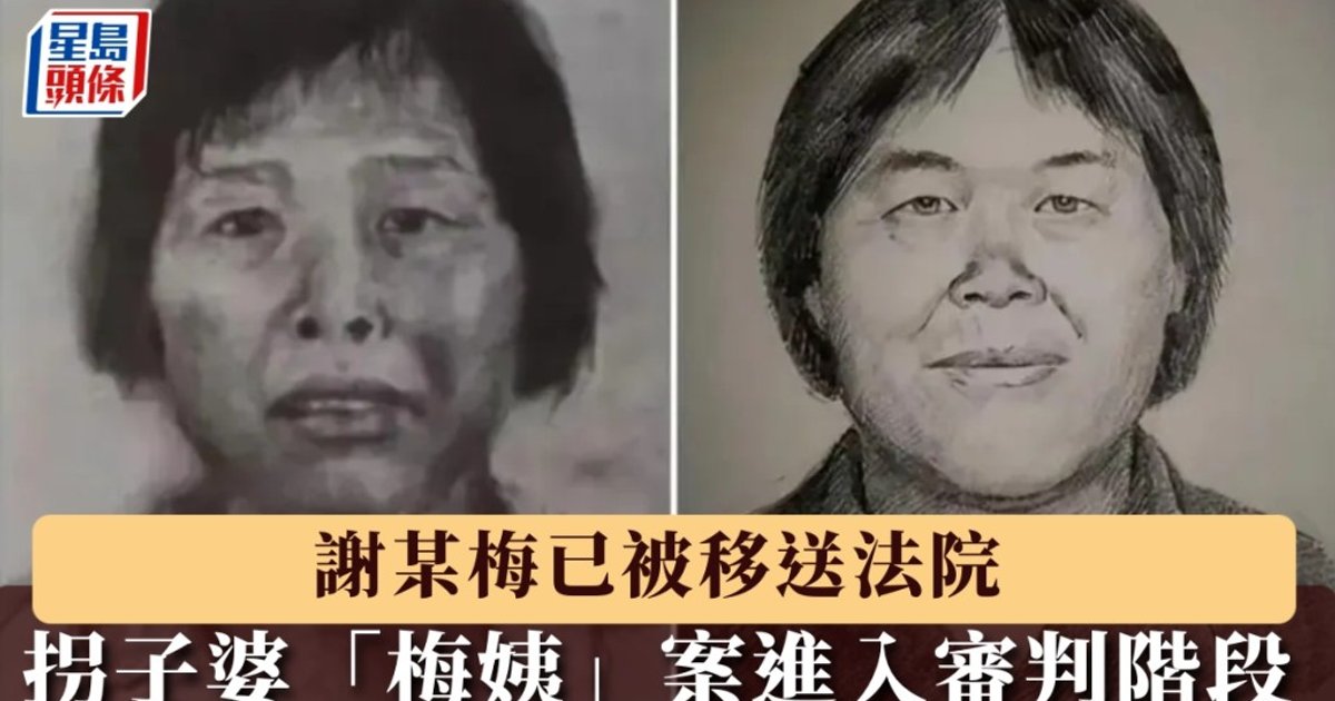 “梅姨”谢家梅案进入审判阶段 家属盼尽快开庭